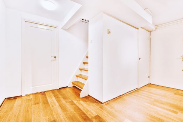 Basement Remodel